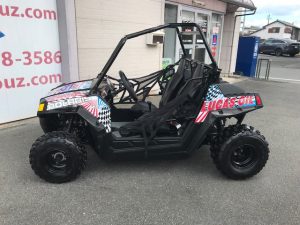 ポラリスRZR170EFIデカール製作完成サイド
