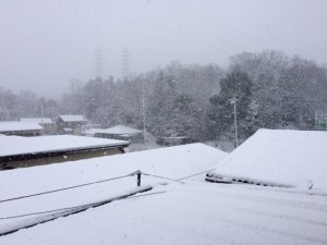 IMG_3598
