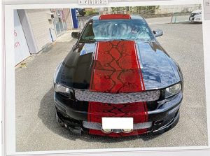 フォードマスタングオリジナルパイソン柄ストライプ施工前デザイン画像前