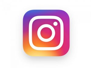 プレシアスデザインインスタグラム