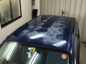o0480036013206307938